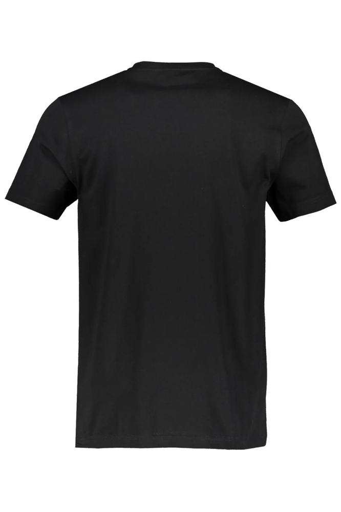 2 PACK T SHIRTS RONDE HALS 2003014 290